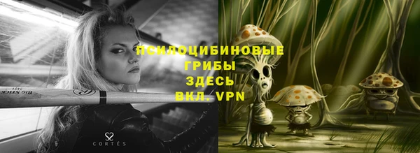 скорость Арсеньев