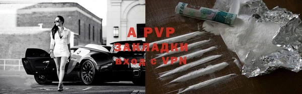 гидра Аркадак