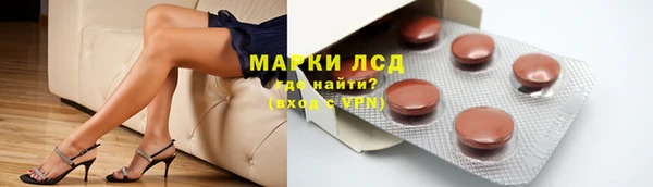 гидра Аркадак