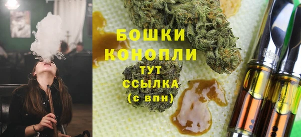 гидра Аркадак