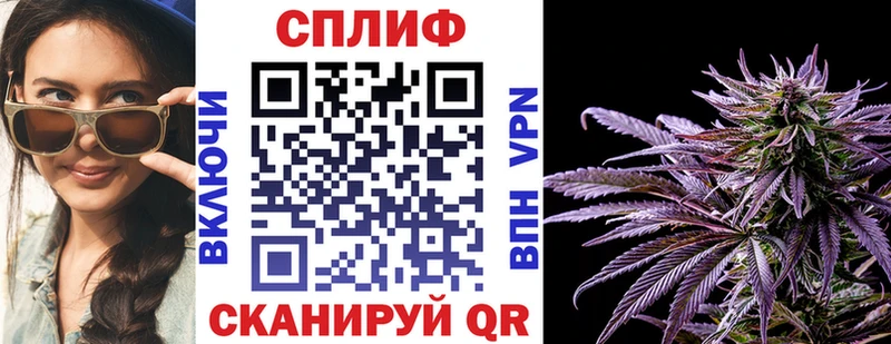 Канабис сатива  купить наркотик  Пучеж 